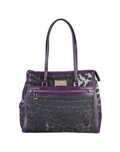 Cavalli Class