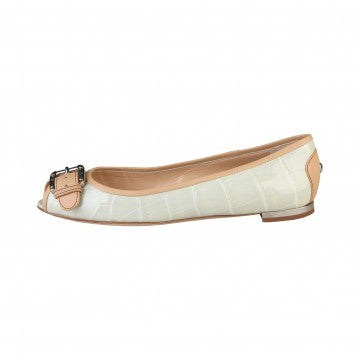 Giuseppe Zanotti